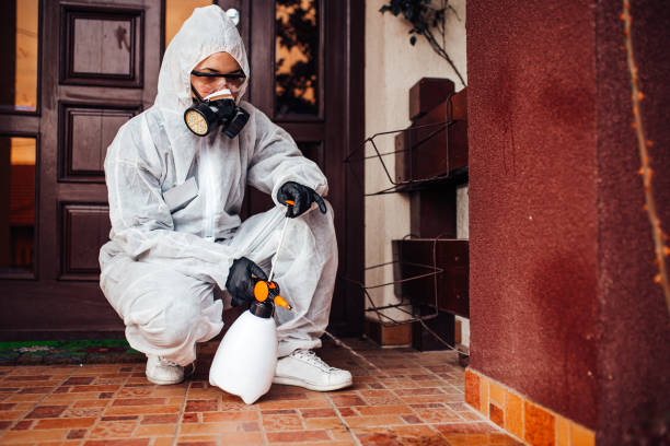 Attic and Crawl Space Rodent Treatment in Hercules